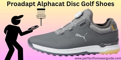 best shoe for disc golf 00