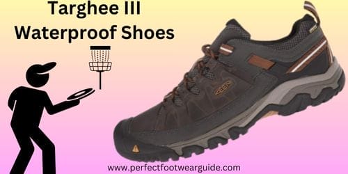Best shoe for disc golf 09
